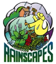 Rainscapes
